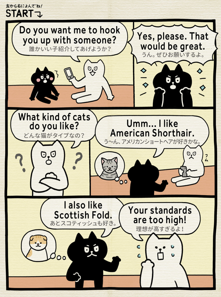 英語どんな猫が好きどんなタイプが好き