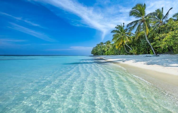 OceanとSeaの違いって？「海」に関する英語のイディオムやフレーズを 